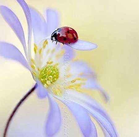 دانلود آهنگ نارفیق دانیال اسماعیل نیا